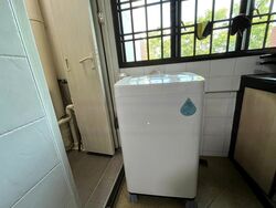 Blk 547 Jurong West Street 42 (Jurong West), HDB Executive #460793761
